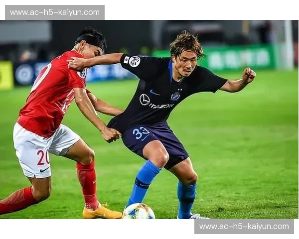 东京VS新泻天鹅：一场关于城市风韵与自然诗意的双重奏